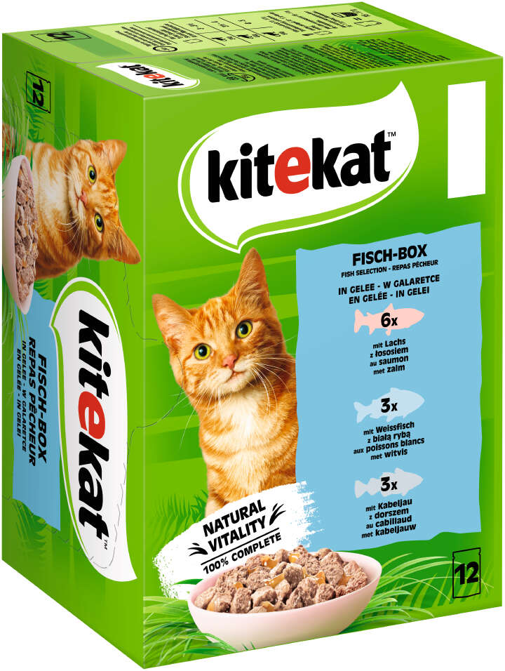 Kitekat Katzen-Nassfutter Fisch-Box in Gelee 12x85g